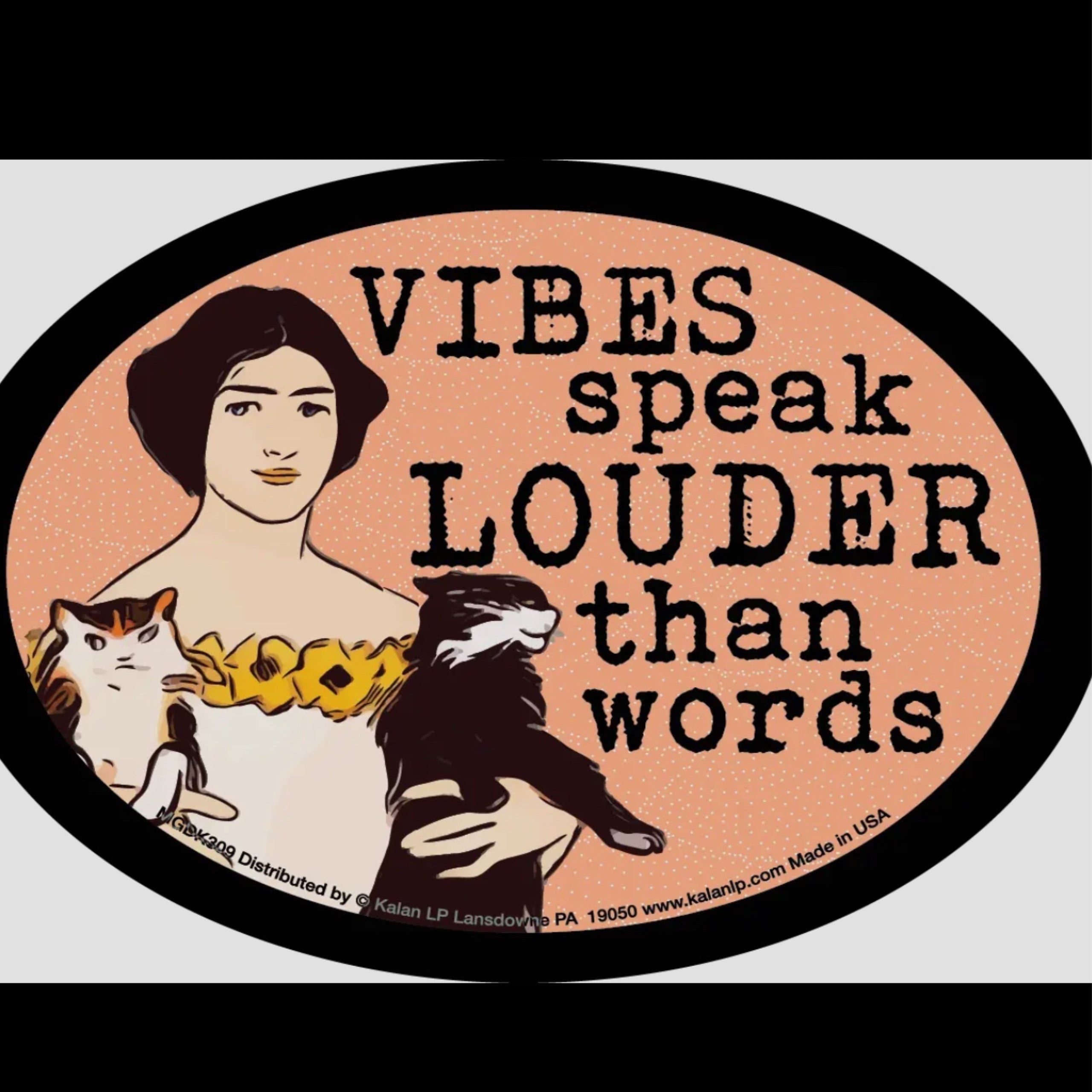 100040542 Cat Vibes Large Oval Magnets Cheap Chick Trading